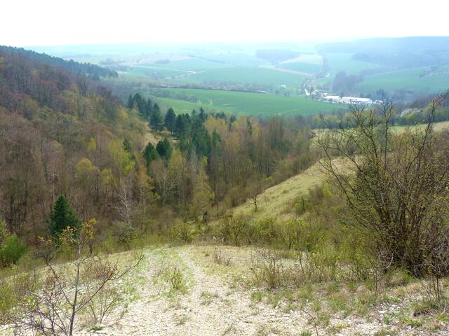 Blick in Richtung Kalbitz