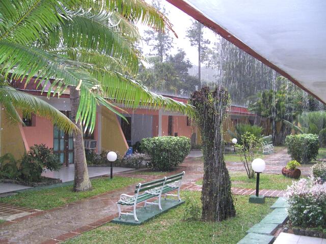 Der Regen in Topas de Collantes lockt Frösche und kleine Eidechsen in die Bungalows des Los Helechos.