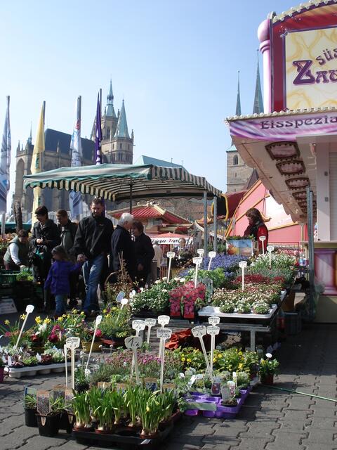 Erfurt empfängt die Gäste mit Sonne und bunten Blumen