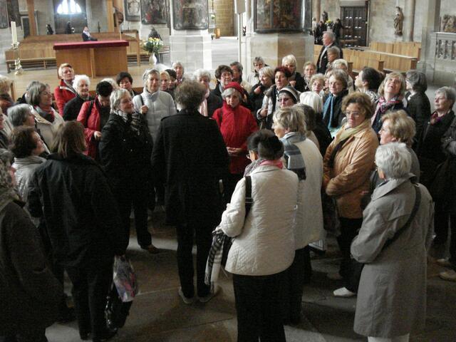 Alle lauschen dem Dom- und Kirchenführer