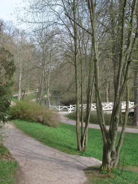 Ilm-Park - ein englischer Garten