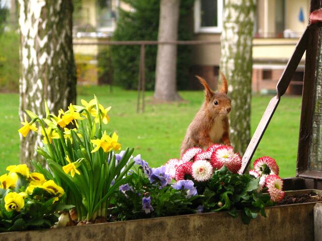 Vorsichtig anschleichen und gucken, ob keiner guckt... | Foto: Renate Arndt