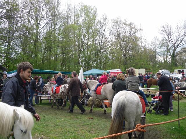 . . . Ponyreiten, auf dem Pferdemarkt . . .