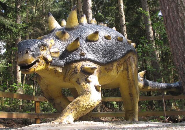 Dort trifft man auf Wesen wie von einem anderen Stern. Doch sie haben einst tatsächlich auf der Erde gelebt. Im Jura und in der Kreidezeit. Der Pinacosaurus war perfekt gepanzert. Seinen keulenartigen Schwanz konnte er gegen die Beine von Raubsauriern peitschen.