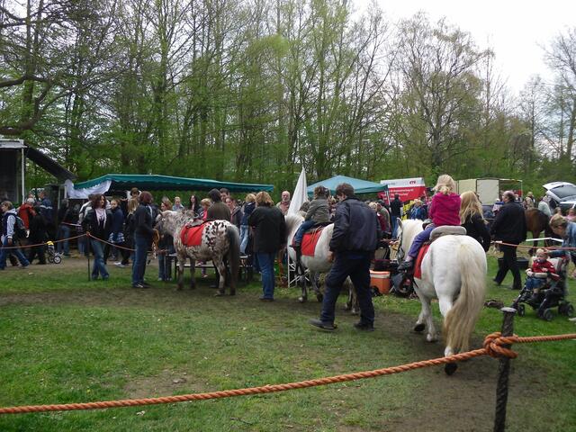 . . . Ponyreiten . . .