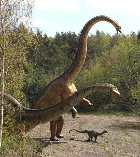 Und diese riesigen Sauropoden haben an diesem Ort ihre Spuren hinterlassen.
