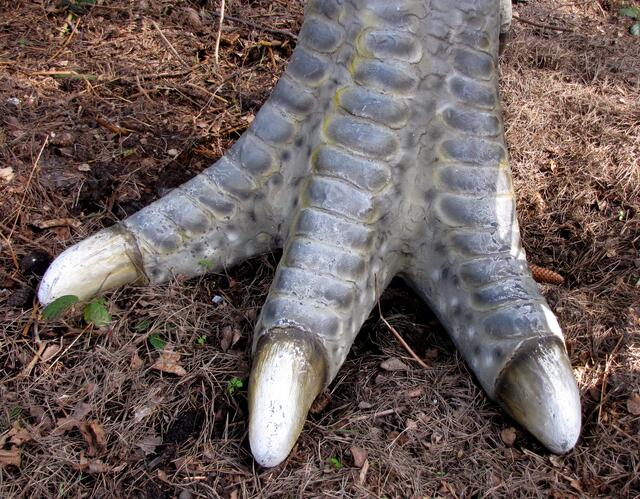 Könnten das die Verursacher sein? Es ist nicht klar, ob sie wie die bei Obernkirchen von harmlosen Iguanodonten stammen oder doch von großen fleischfressenden Theropoden.