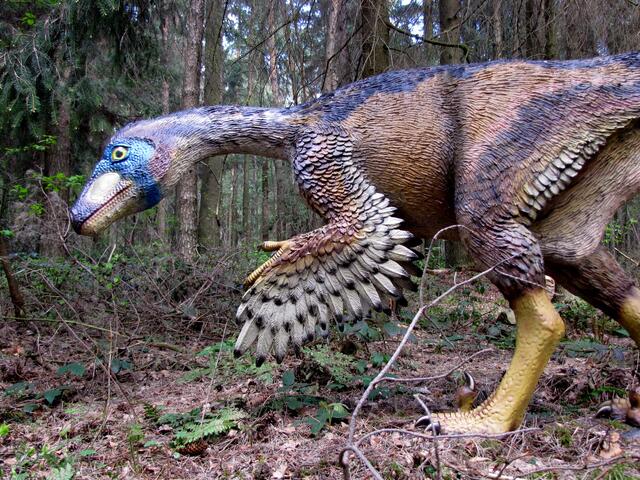 Noch Reptil oder schon Vogel? Wahrscheinlich beides.