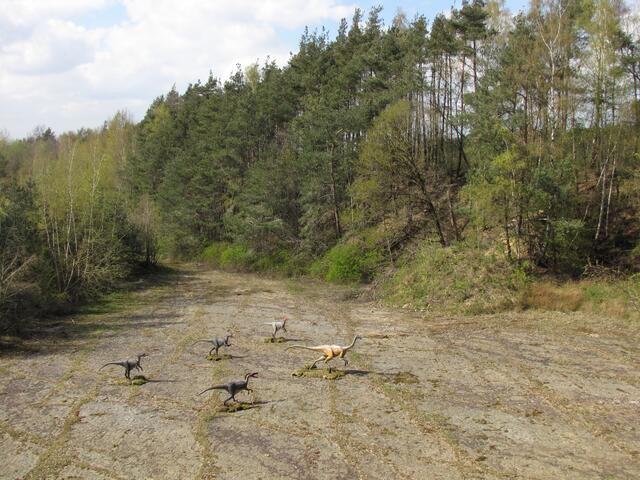 Das Rudel kreist das Opfer ein. Zu dieser Szene, wie zu den anderen auch, müssen wir uns nun ein warmes, feuchtes Klima vorstellen und eine üppige tropische Vegetation, bestehend aus Baumfarnen, Schachtelhalmen, Coniferen und Ginkgos.