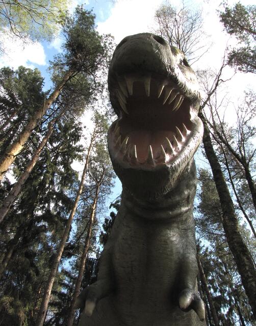 Der bekannteste Vertreter seiner Art ist der Tyrannosaurus Rex, der in der Oberkreide lebte. Mit seinen spitzen Zahnreihen konnte er große Fleischstücke aus den Beutetieren herausreißen.