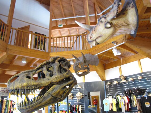 Damit ist unsere Reise in die Urzeit beendet. Gefühlt haben wir uns schon ein wenig wie in Spielbergs Jurassik-Park.