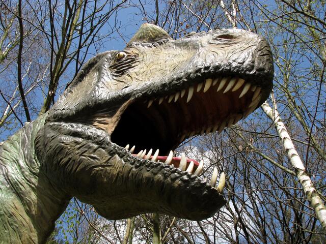 15 Zentimeter lange dolchartige Zähne machten ihn nicht gerade zum Freund anderer Dinosaurier.