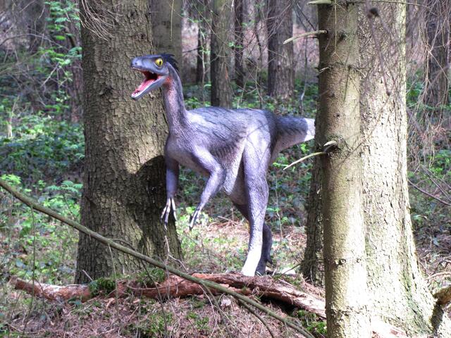Sie waren klein, schnell und wendig, und die Zähne waren gut gespitzt.