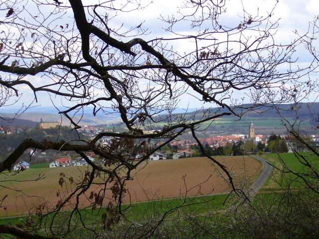 Schloß Friedrichstein in Altwildungen und die Stadtkirche im Stadtkern