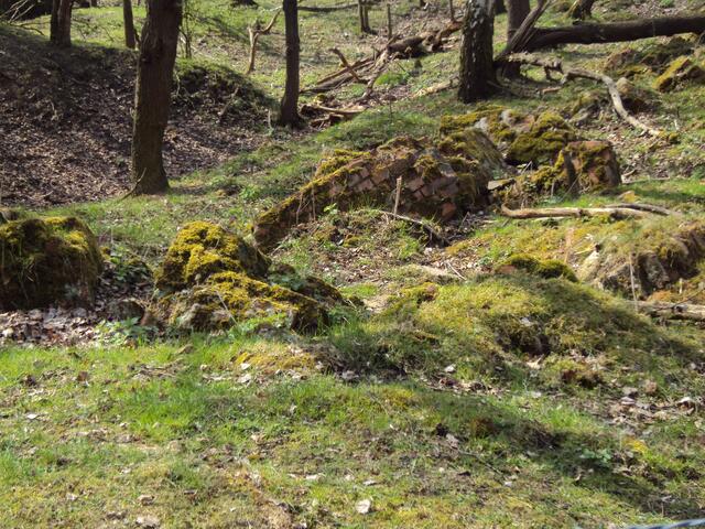 Überwachsene und bemooste Ziegelsteine zeugen von dem Versuch hier ein Bergwerk zu errichten.