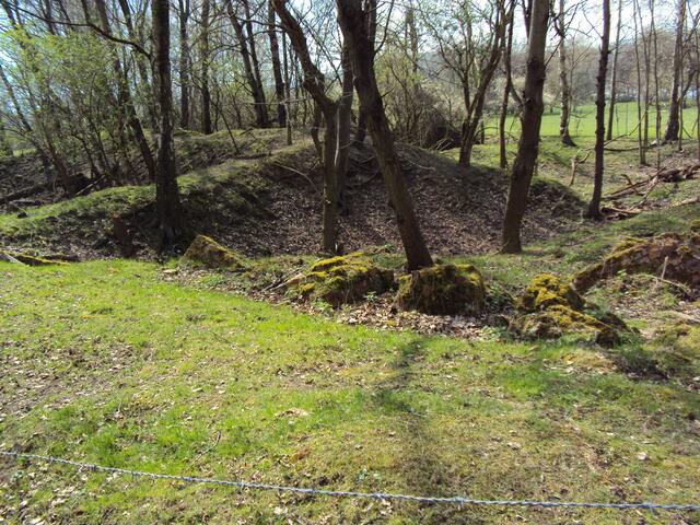 Das Vieh darf hier schon wieder weiden.