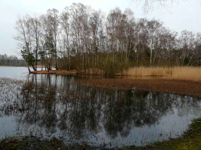 Dunkle Spiegelungen. Der Würmsee an einem grauen, diesigen Apriltag. Auf den ersten Blick verlassen. Das täuscht...
