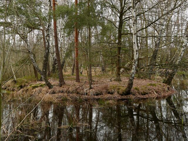 In früheren Zeiten konnte man mit Ruderbooten um die "Inseln" auf dem Würmsee herumpaddeln.