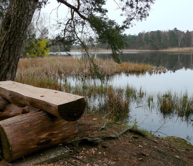 Neue Sitzbänke mit Blick über den Würmsee im Norden Burgwedels.