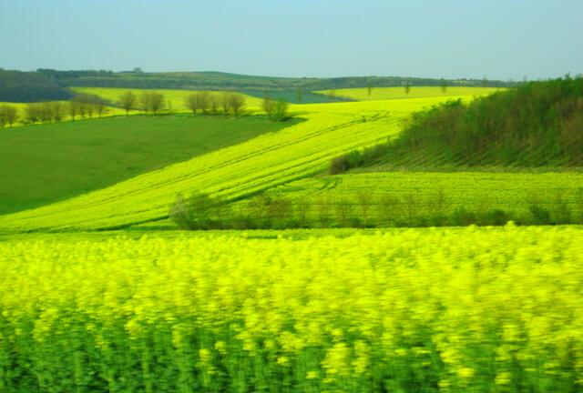 In schneller Fahrt bergab fliegen die liebliche Hügellandschaft und der Finne-Höhenzug förmlich vorbei