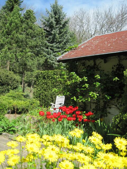 Ein Platz an der Sonne
