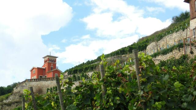 Das Toskana-Schlösschen am Schweigenberg im Weinbaugebiet Freyburg an der Unstrut. Besonderheit beim Weinanbau: Trockenmauern
