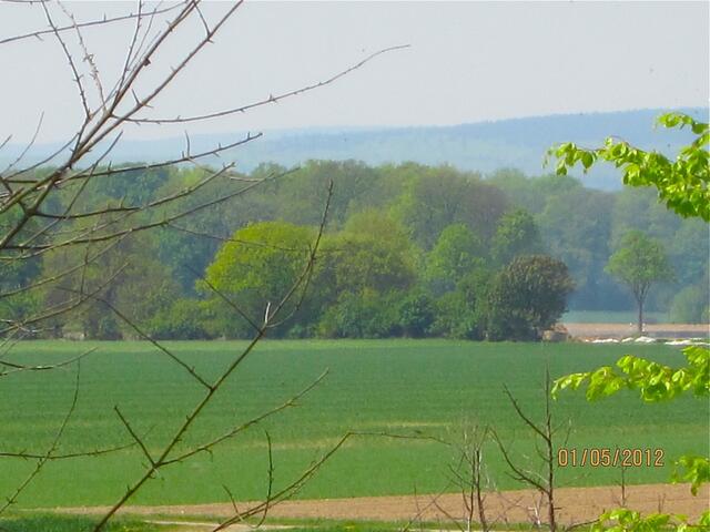 Heute morgen ist davon kaum noch etwas zu sehen - jedenfalls von unserer Seite aus