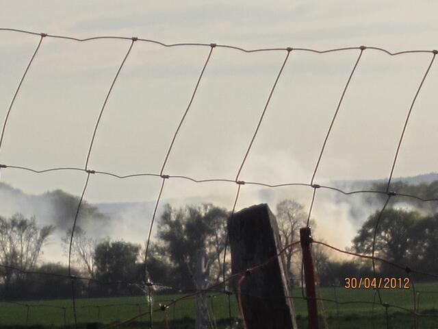 Das ist der Blick unserer Ziegen auf das Geschehen