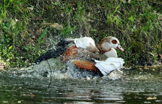 Na,dann schalte ich die Dusche mal an.