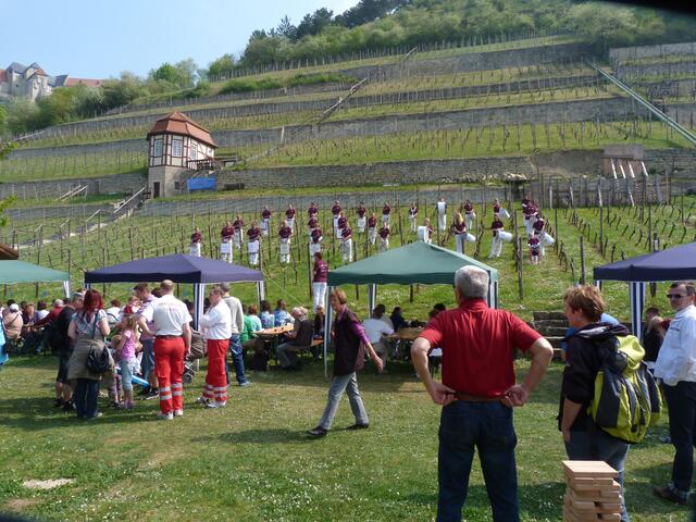 Der Fanfarenclub Finne spielte im Herzoglichen Weinberg.