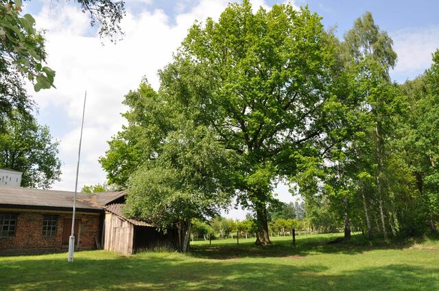 Im Detail - Hänigsen im Burgdorfer Land - ein Bericht von OKOK TELEVISION