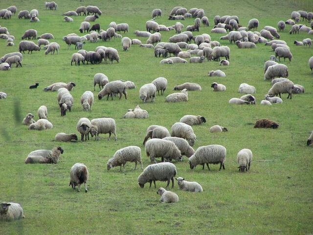 Im Detail - Hänigsen im Burgdorfer Land - ein Bericht von OKOK TELEVISION