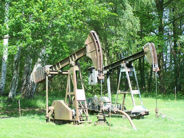 Im Detail - Hänigsen im Burgdorfer Land - ein Bericht von OKOK TELEVISION