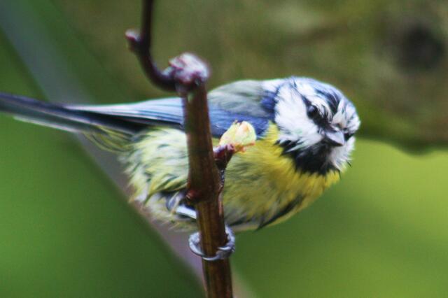 Guck mal, wie ich aussehe!