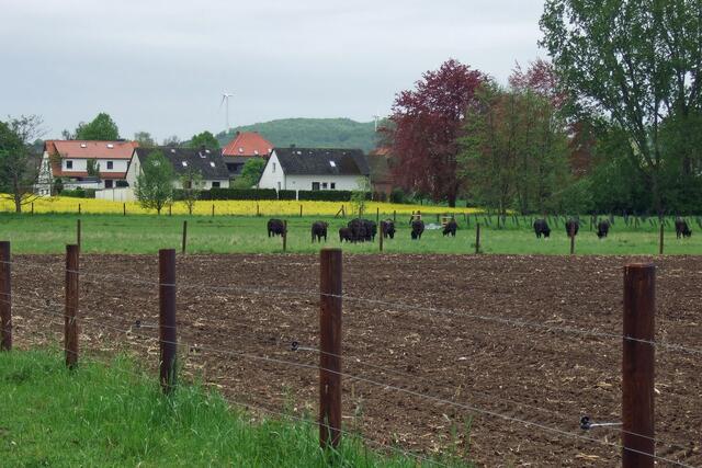 Genug von den Besuchern. Hier hinten hat man wieder seine Ruhe!