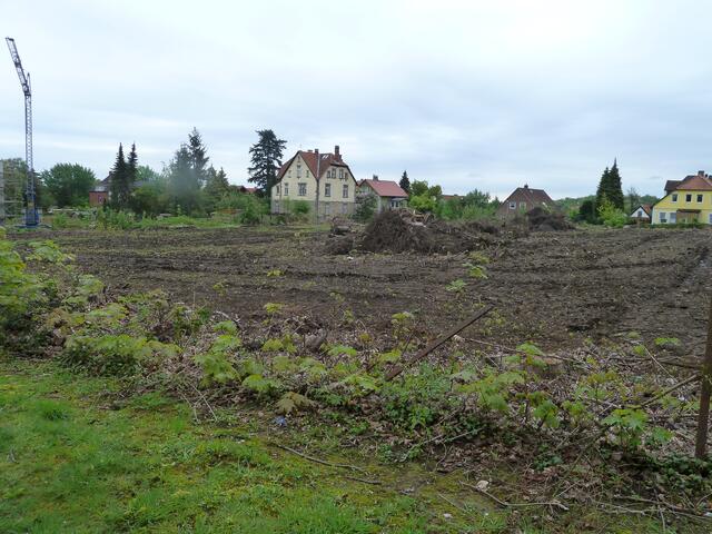 Das abgeholzte Waldstück am Waldhof,hinter der alten Schule.