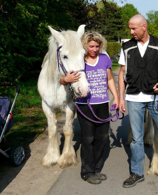 Harmonie zwischen Pferd und Reitern.