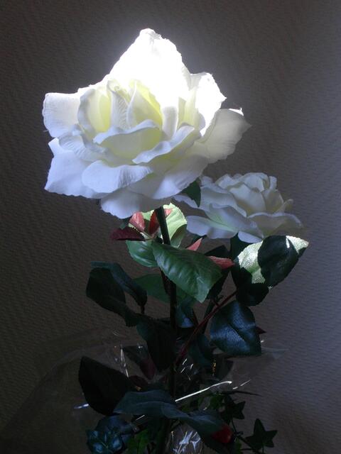 Schön, aber leider nicht Natur.