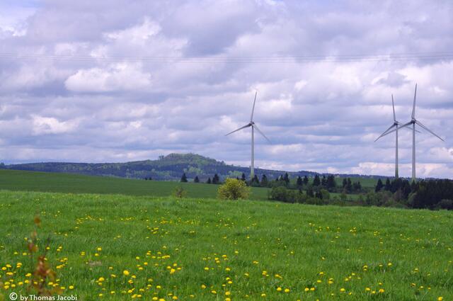 Blick Richtung Haßberg.