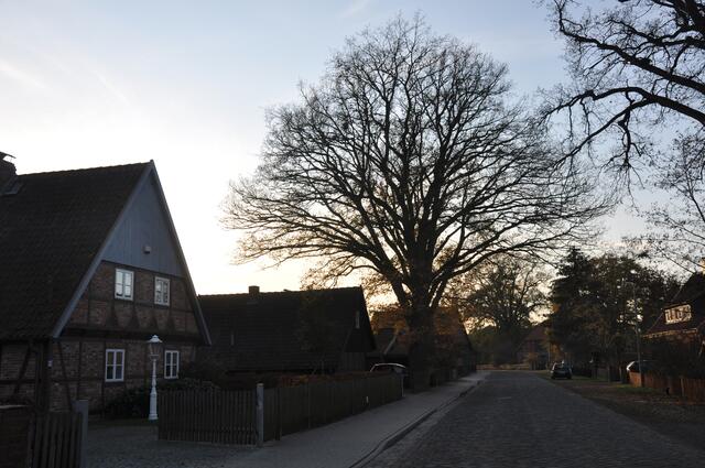 Im Detail - Meitze im Burgdorfer Land © OKOK TELEVISION