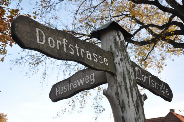Im Detail - Meitze im Burgdorfer Land © OKOK TELEVISION