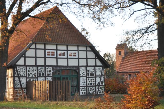 Im Detail - Meitze im Burgdorfer Land © OKOK TELEVISION