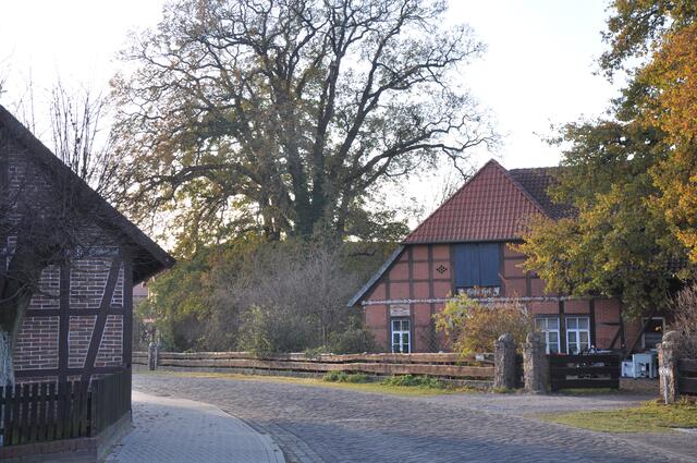 Im Detail - Meitze im Burgdorfer Land © OKOK TELEVISION