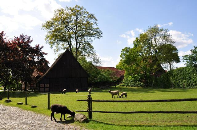 Im Detail - Elze im Burgdorfer Land © OKOK TELEVISION