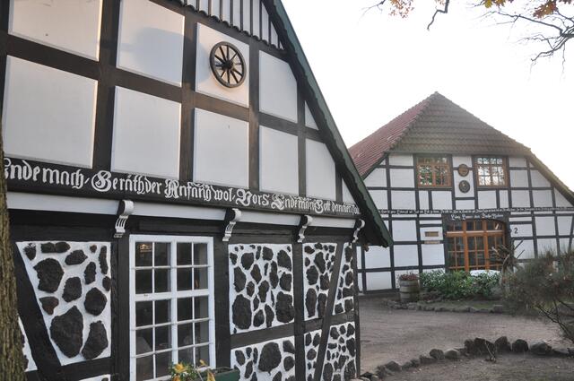 Im Detail - Meitze im Burgdorfer Land © OKOK TELEVISION