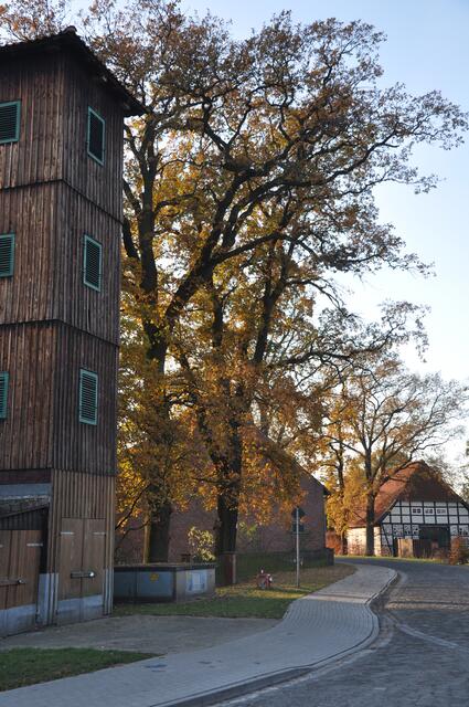 Im Detail - Meitze im Burgdorfer Land © OKOK TELEVISION
