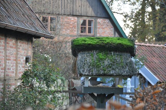 Im Detail - Meitze im Burgdorfer Land © OKOK TELEVISION