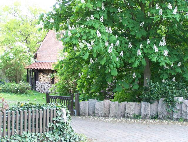 Im Detail - Elze im Burgdorfer Land © OKOK TELEVISION