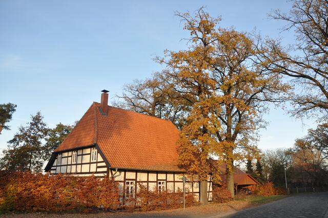 Im Detail - Meitze im Burgdorfer Land © OKOK TELEVISION