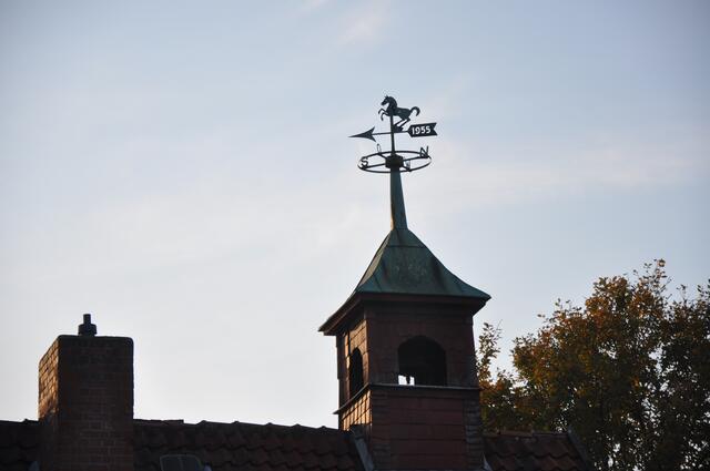 Im Detail - Meitze im Burgdorfer Land © OKOK TELEVISION
